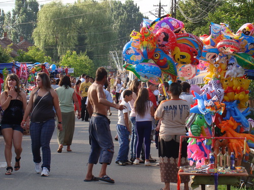 Foto Seini - Zilele orasului Seini 2010 (c) eMaramures